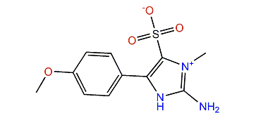 Polycarpaurine B